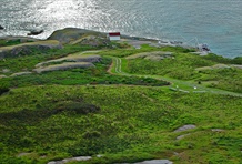 Montague Island